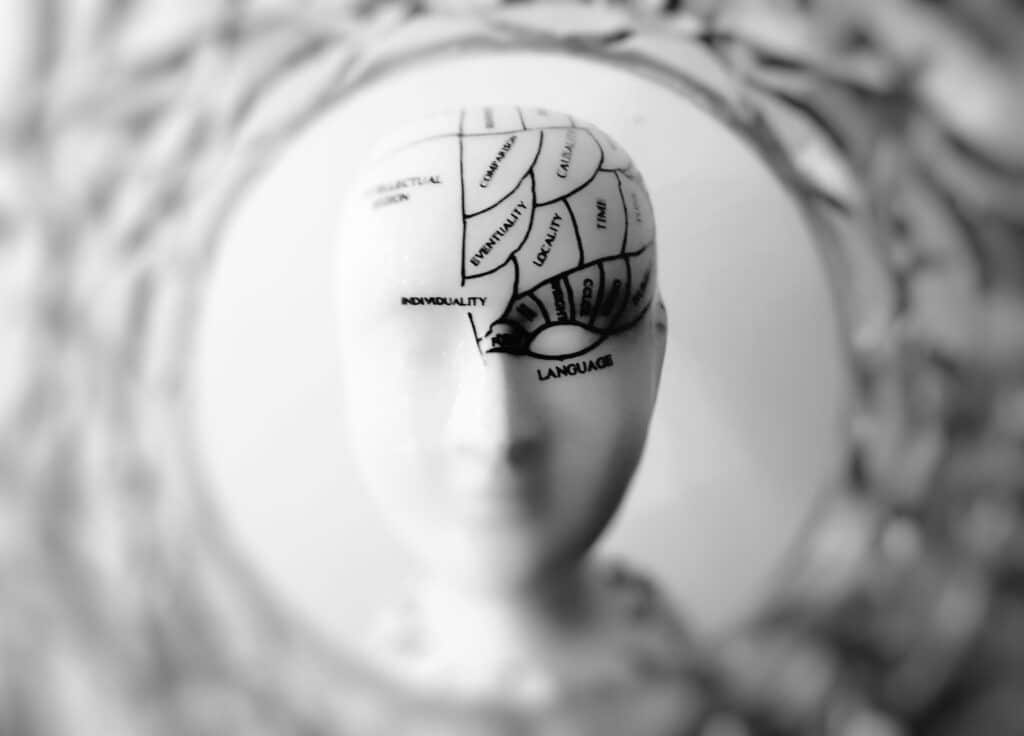 Illustration of the brain representing TMS therapy safety profile and side effects