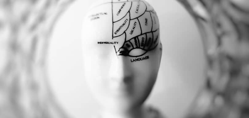 Illustration of the brain representing TMS therapy safety profile and side effects