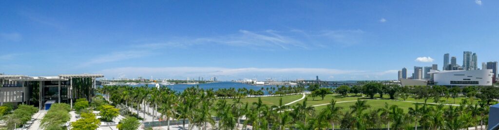 Brickell Miami skyline representing TMS therapy for professionals